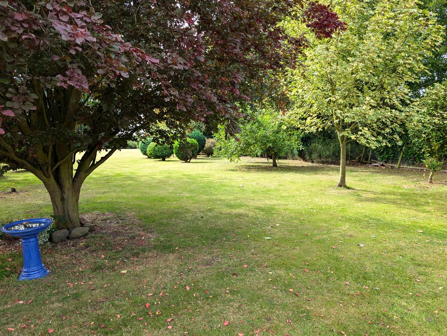 Main Street, Great Hatfield